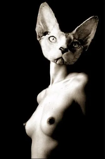 Quelle est cette charmante créature, qui, dans la mythologie égyptienne, est la déesse de la musique et de la joie ?