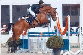 Quiz Galop 1