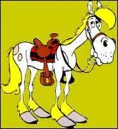 Vous l'avez reconnu, il s'agit de Jolly Jumper, fidèle compagnon et destrier du célèbre Lucky Luke. Comment se nomme son créateur, auteur de la bande dessinée ?