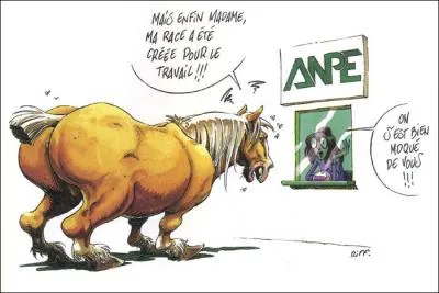 Laquelle des ces races de chevaux de trait n'existe pas ?