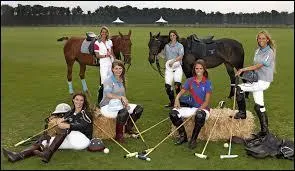 Quel ustensile est indispensable à la pratique du polo ?