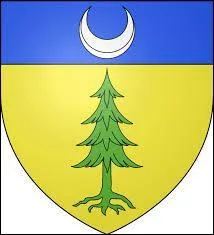 Je vous présente le blason d'une ville franc-comtoise. Surnommée "la capitale de la pipe", vous pouvez y visiter le musée de la pipe et du diamant ou encore sa cathédrale Saint-Pierre, Saint-Paul et Saint-André. C'est la ville de ...