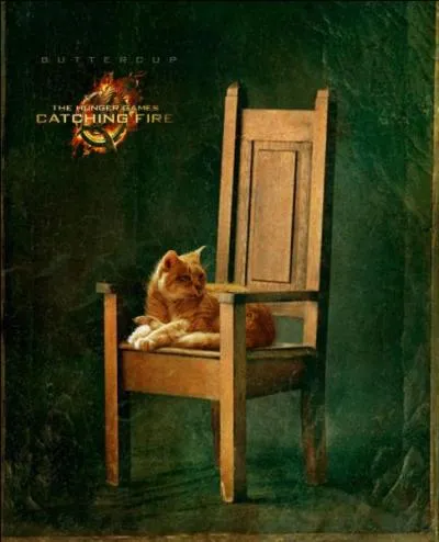 Quel est le nom du chat de la petite soeur ?