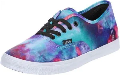 Comment s'appelle cette sorte de Vans ?
