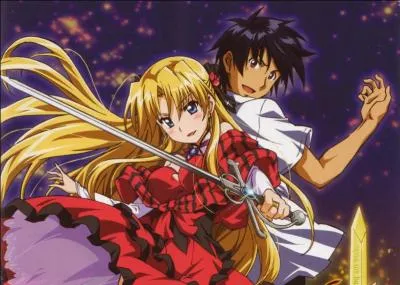 De quel manga viennent ces deux personnages ?