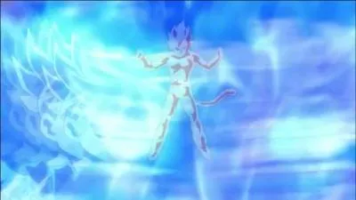 Qui est le Super Saiyan God ?