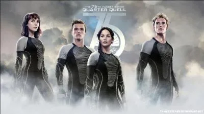 Dans le 75e Hunger Games, avec qui est Finnick ?