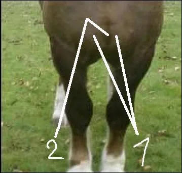 Comment s'appellent les parties 1 et 2 ?