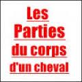 Quiz Galop 1