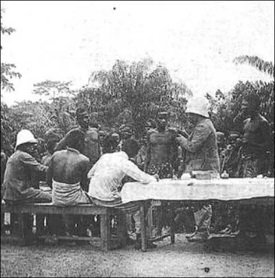 Années 1920 > Pour protéger la main-d'oeuvre, des campagnes de vaccination à grande échelle ont lieu. Quels en sont les effets ?