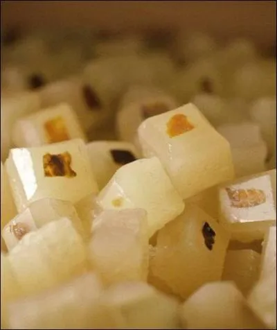 Impossible de savoir aujourd'hui si une épidémie virale aurait pu se transmettre à cette époque. Qu'en pensez-vous ?