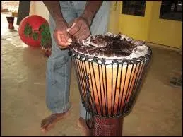 Une peau d'animal y est montée. Quel est cet animal ?