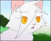 Qui est ce personnage de la Guerre des clans ?