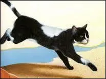 Qui est ce personnage de la Guerre des clans ?