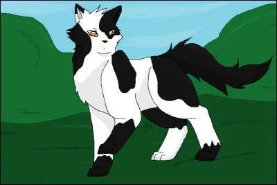 Qui est ce personnage de la Guerre des clans ?