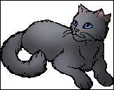 Qui est ce personnage de la Guerre des clans ?