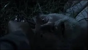 Qui achève Dale pour abréger ses souffrances ?