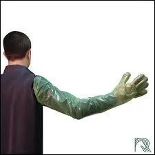 Ce gant de grande taille est indispensable à cette pratique particulière. Elle consiste à introduire du sperme dans un utérus afin d'aboutir à une fécondation artificielle. Comment se nomme ce procédé ?