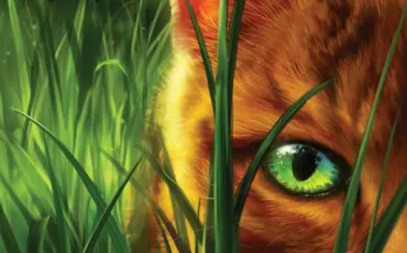 Quiz Erin hunter