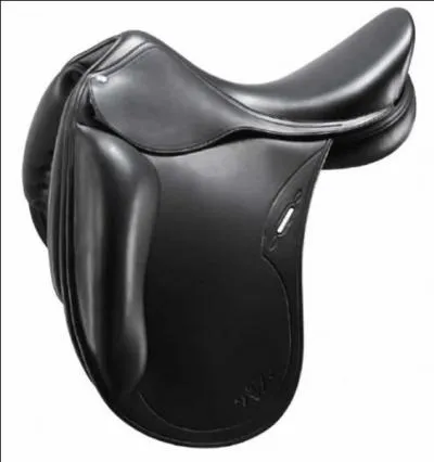 Quelle est cette selle ?