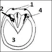 Quel est le nom de la partie 1 ?