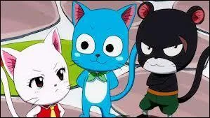 Quels sont les trois chats dans Fairy Tail ?