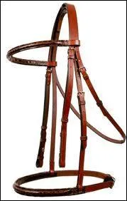 Combien y a-t-il de sortes de muserolles ?