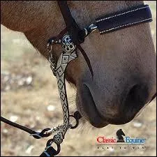 Qu'est-ce que le harnachement sur l'image ?