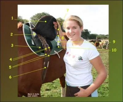 Comment s'appellent les parties 6, 7, 8, 9 et 10 ?