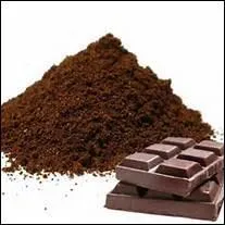 Jadis, quel était le nom donné au chocolat au Mexique ?