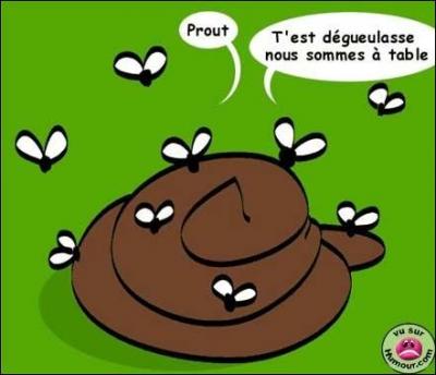 Pourquoi flatulons-nous ?