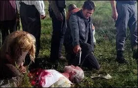 Comment se nomme l'épisode 11 ?