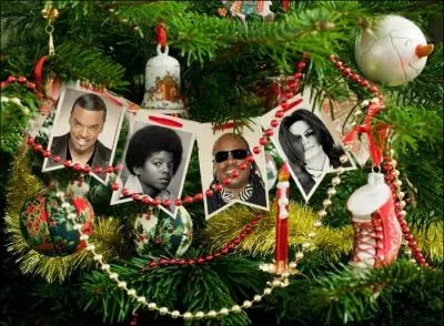  Tu n'es pas seul. 
Qui est cet enfant sur la guirlande ?