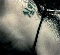 À qui appartient ce magnifique cou ?