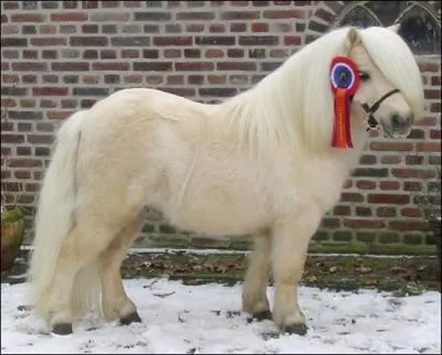 Que peut-on faire avec lui ?