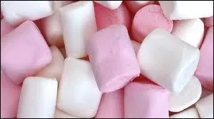 Il est mou et on peut le faire griller :