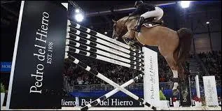 Comment se nomment les championnats du monde d'équitation ?