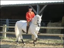 Quelle discipline se pratique sans selle ?