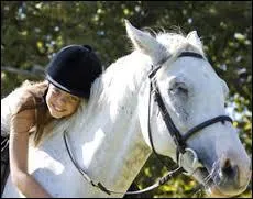 L'équitation est-elle un sport ?