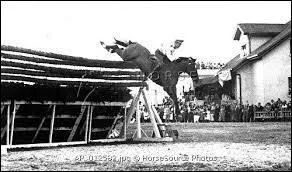 Quelle est la hauteur maximum qu'un cheval ait pu sauter ? Quand ?