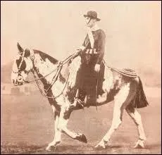 Quelle était la distance parcourue par Aimé-Félix Tschiffely et ses deux chevaux (Mancha et Gato) ?
