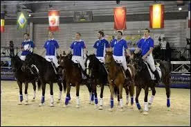 L'quipe de France de horse-ball a remport :