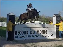 Robert Whitaker et son cheval Waterstone ont sauté la hauteur de (la photo ne correspond pas) :