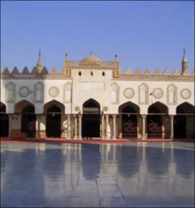 &laquo;L'oppression sexuelle est donc contraire &agrave; l'islam, [ainsi que] toute autre forme d'oppression fond&eacute;e sur la race, la classe sociale, l'ethnie ou l'orientation sexuelle&raquo;. C'est une ancienne &eacute;tudiante de l'Universit&eacute; Al-Azhar, fond&eacute;e en 988 qui parle. Dans quelle ville ?