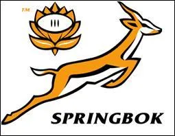 Quelle équipe porte cet emblème ?