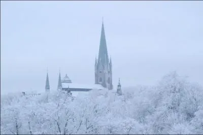 J'ai de la chance : j'ai retrouvé (grâce à un réseau) Aasa (prononcer Ôssa), après 22 ans ! Elle avait changé de nom, mon amie de Linkoeping, qui habite en/au ....