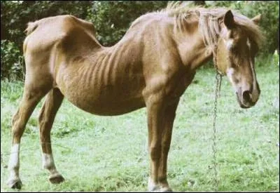 "C'est assez mauvais signe pour un écrivain en devenir que de n'être point vilipendé". Qu'exprime le terme "vilipendé" ?