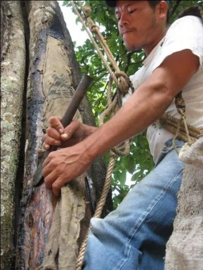"Un liniment confectionné avec des produits particuliers était souvent proposé". Quel sens a le mot "liniment" ?