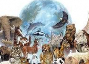 Quiz Records du monde animal