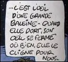 Qui a dit : ''C'est l'il d'une grande baleine, quand elle dort, son il se ferme, ou bien elle le cligne pour nous.'' ?